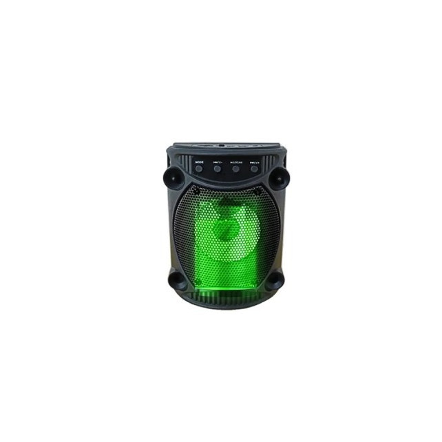 Haut-Parleur Bluetooth Portable Karaoké avec lumière LED