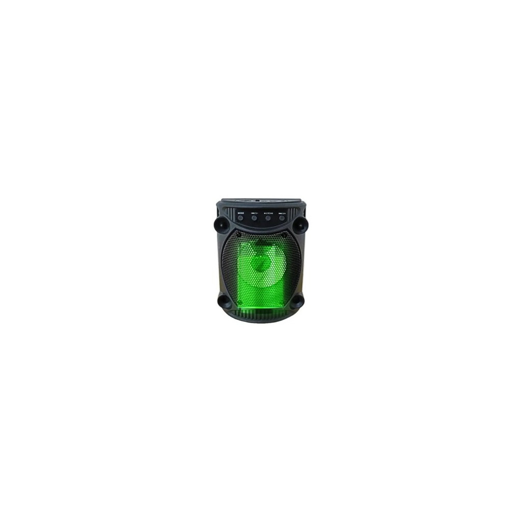 Haut-Parleur Bluetooth Portable Karaoké avec lumière LED