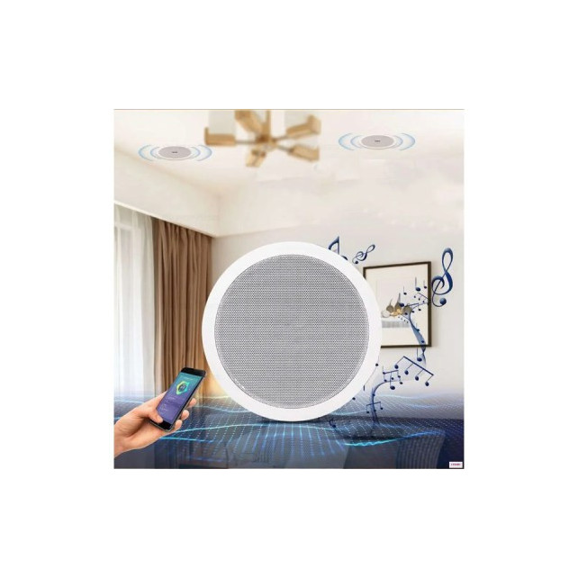 HAUT PARLEUR DE PLAFOND UKC CS-8500BM