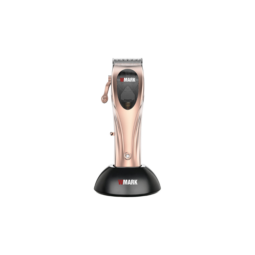 Tondeuse sans fil rechargeable Avec station de charge