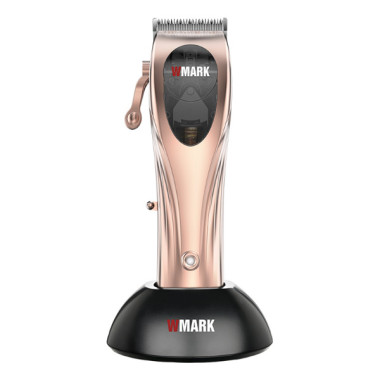 Tondeuse sans fil rechargeable Avec station de charge