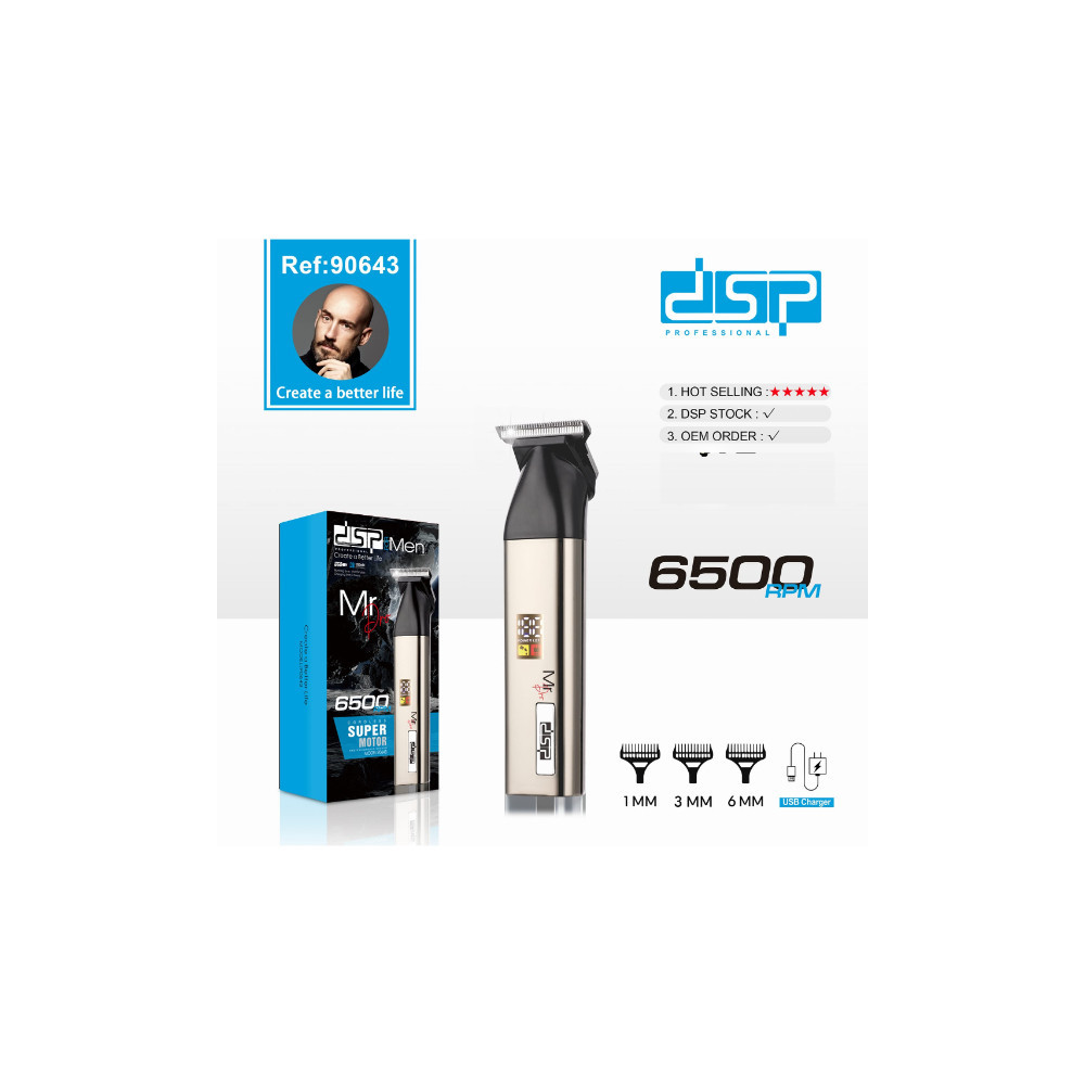 Tondeuse à Cheveux Rechargeable, USB Charging DSP 90643