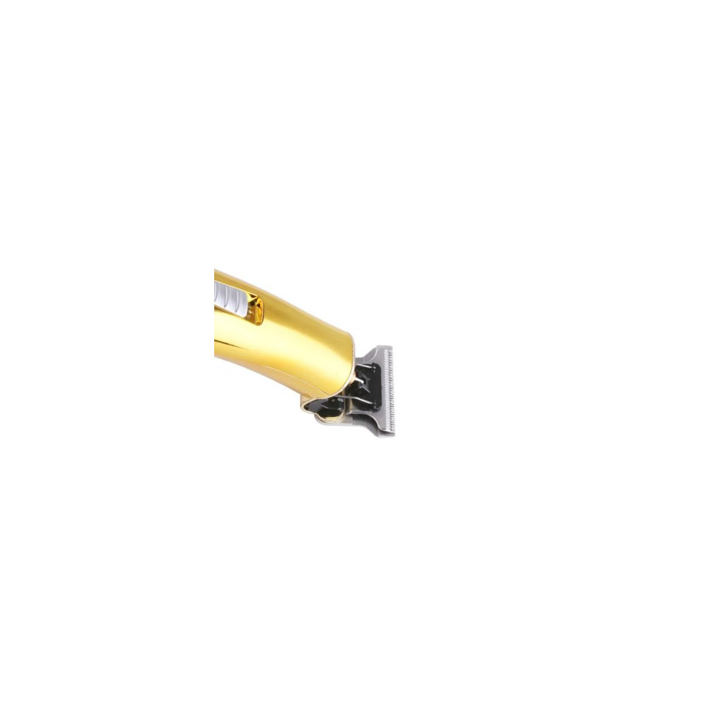 Tondeuse à Cheveux Professionnelle Rechargeable