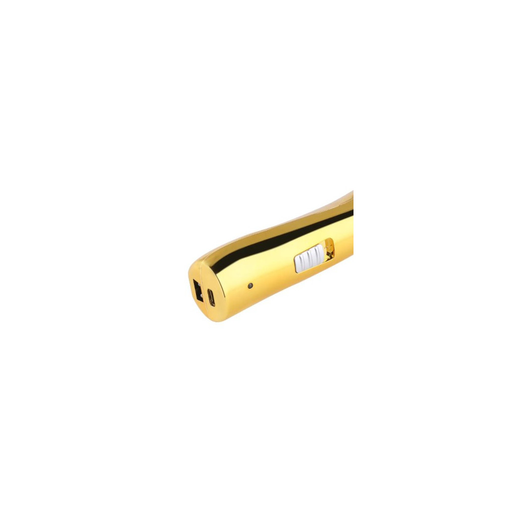 Tondeuse à Cheveux Professionnelle Rechargeable