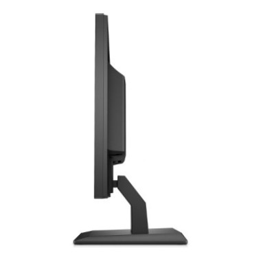 Écran HP P204v 19.5" LED