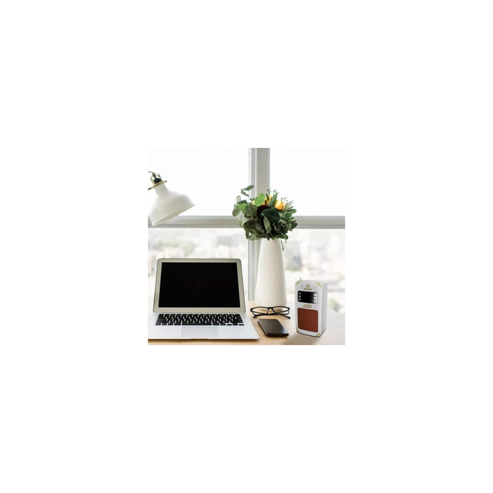 Haut-parleur coranique intelligent, avec 16 récitations et 16 traductions, télécommande/Bluetooth/connexion USB/contrôle de l'ap