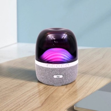 Haut Parleur Bluetooth